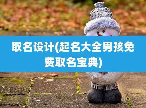 取名设计(起名大全男孩免费取名宝典)