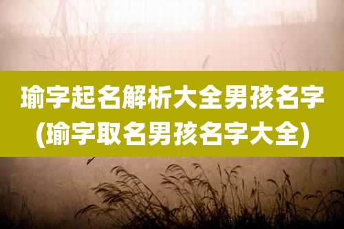 瑜字起名解析大全男孩名字(瑜字取名男孩名字大全)