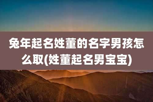 兔年起名姓董的名字男孩怎么取(姓董起名男宝宝)