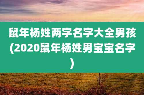 鼠年杨姓两字名字大全男孩(2020鼠年杨姓男宝宝名字)