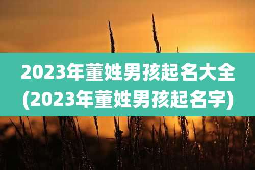 2023年董姓男孩起名大全(2023年董姓男孩起名字)