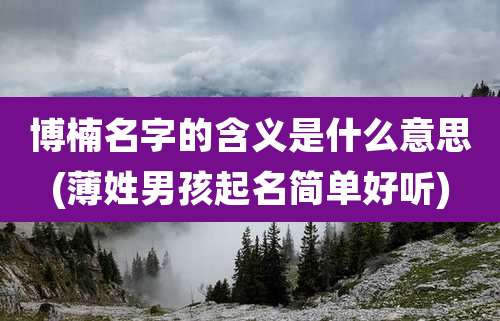 博楠名字的含义是什么意思(薄姓男孩起名简单好听)