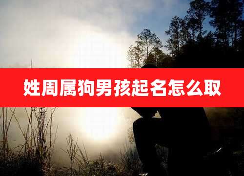 姓周属狗男孩起名怎么取