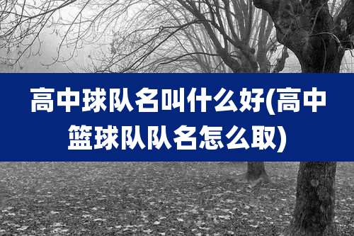 高中球队名叫什么好(高中篮球队队名怎么取)