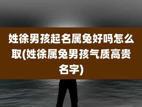 姓徐男孩起名属兔好吗怎么取(姓徐属兔男孩气质高贵名字)