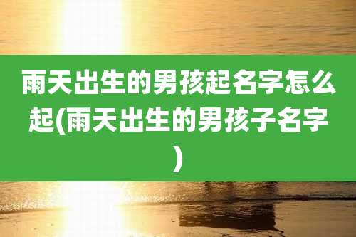 雨天出生的男孩起名字怎么起(雨天出生的男孩子名字)