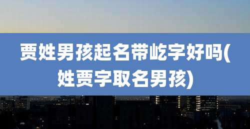 贾姓男孩起名带屹字好吗(姓贾字取名男孩)