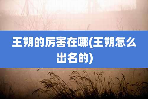 王朔的厉害在哪(王朔怎么出名的)