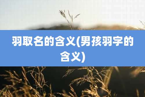 羽取名的含义(男孩羽字的含义)