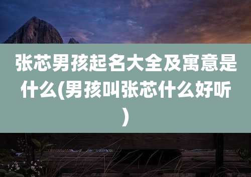 张芯男孩起名大全及寓意是什么(男孩叫张芯什么好听)