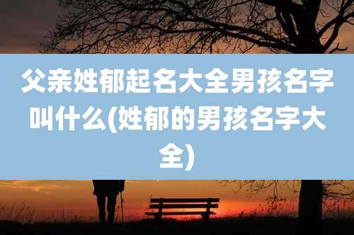 父亲姓郁起名大全男孩名字叫什么(姓郁的男孩名字大全)