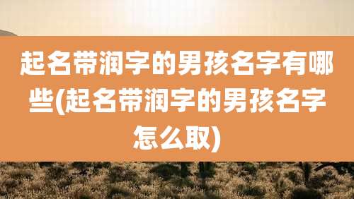 起名带润字的男孩名字有哪些(起名带润字的男孩名字怎么取)