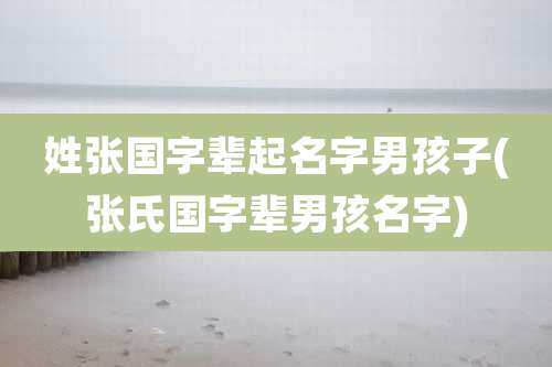 姓张国字辈起名字男孩子(张氏国字辈男孩名字)