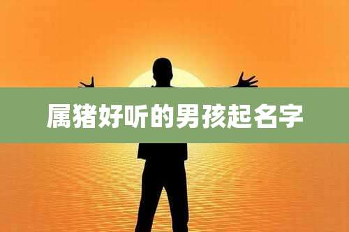 属猪好听的男孩起名字