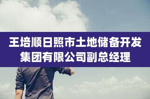 王培顺日照市土地储备开发集团有限公司副总经理