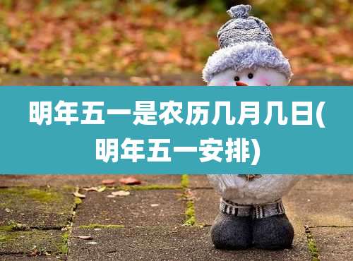 明年五一是农历几月几日(明年五一安排)