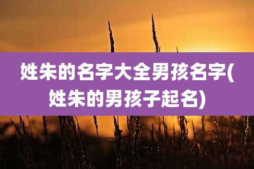 姓朱的名字大全男孩名字(姓朱的男孩子起名)