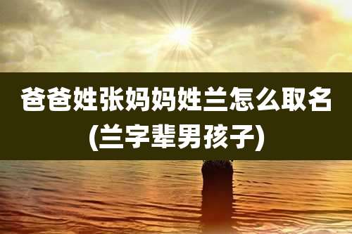 爸爸姓张妈妈姓兰怎么取名(兰字辈男孩子)