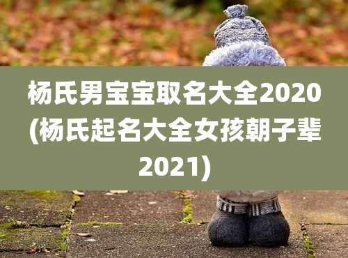 杨氏男宝宝取名大全2020(杨氏起名大全女孩朝子辈2021)