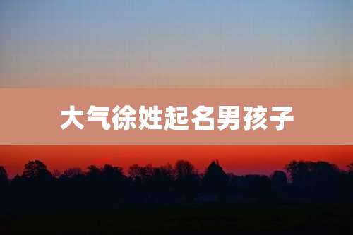 大气徐姓起名男孩子