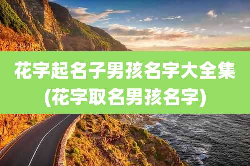 花字起名子男孩名字大全集(花字取名男孩名字)