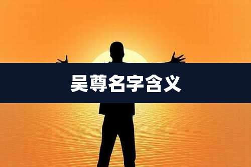 吴尊名字含义