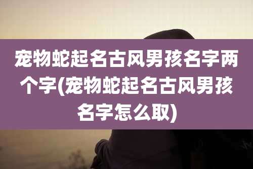 宠物蛇起名古风男孩名字两个字(宠物蛇起名古风男孩名字怎么取)