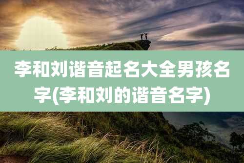 李和刘谐音起名大全男孩名字(李和刘的谐音名字)
