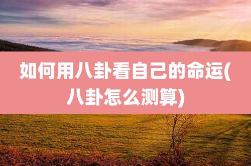 如何用八卦看自己的命运(八卦怎么测算)