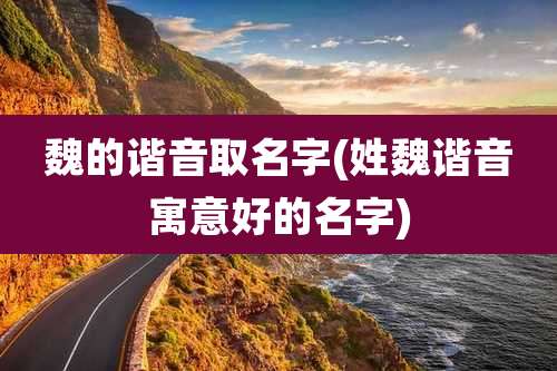 魏的谐音取名字(姓魏谐音寓意好的名字)