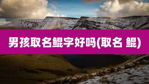 男孩取名鲲字好吗(取名 鲲)