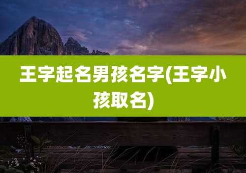 王字起名男孩名字(王字小孩取名)