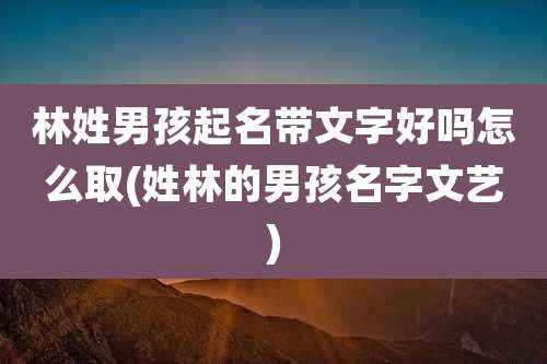 林姓男孩起名带文字好吗怎么取(姓林的男孩名字文艺)