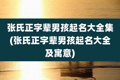 张氏正字辈男孩起名大全集(张氏正字辈男孩起名大全及寓意)