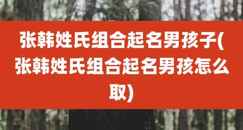 张韩姓氏组合起名男孩子(张韩姓氏组合起名男孩怎么取)