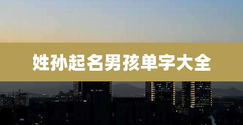 姓孙起名男孩单字大全