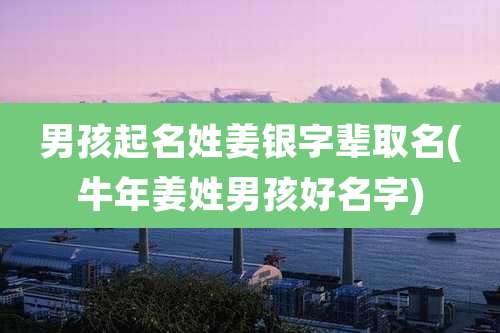 男孩起名姓姜银字辈取名(牛年姜姓男孩好名字)