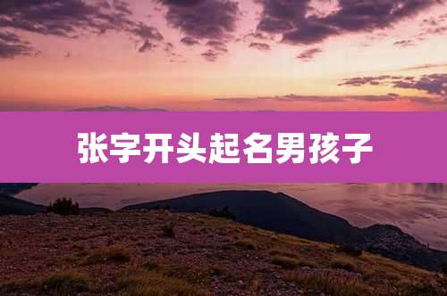 张字开头起名男孩子
