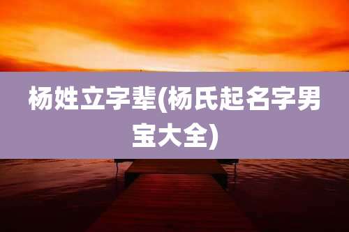 杨姓立字辈(杨氏起名字男宝大全)