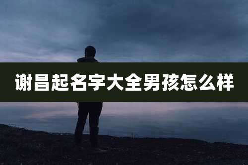 谢昌起名字大全男孩怎么样