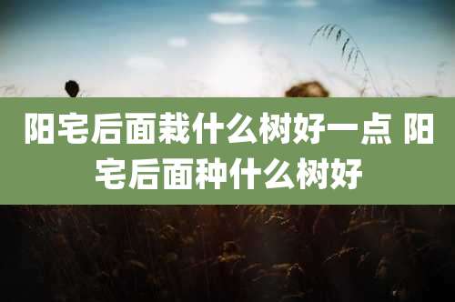 阳宅后面栽什么树好一点 阳宅后面种什么树好
