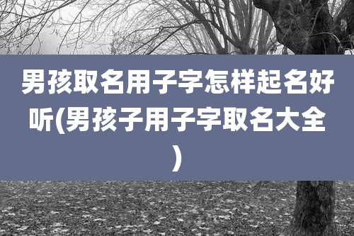 男孩取名用子字怎样起名好听(男孩子用子字取名大全)