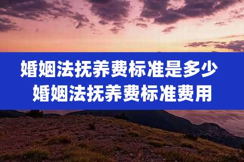 婚姻法抚养费标准是多少 婚姻法抚养费标准费用