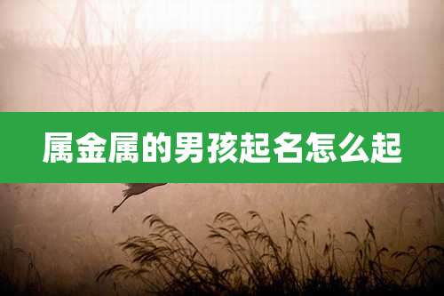 属金属的男孩起名怎么起