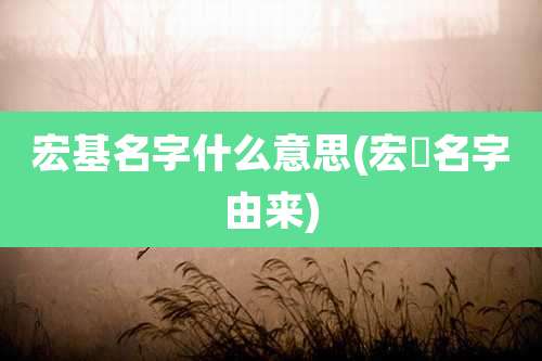 宏基名字什么意思(宏碁名字由来)