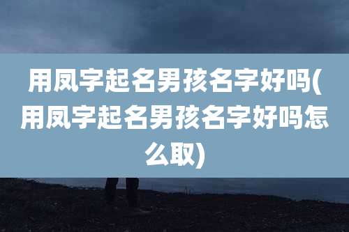 用凤字起名男孩名字好吗(用凤字起名男孩名字好吗怎么取)