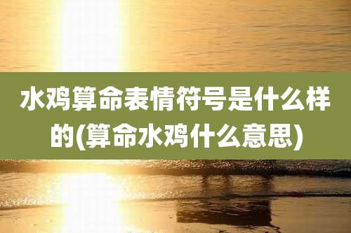 水鸡算命表情符号是什么样的(算命水鸡什么意思)