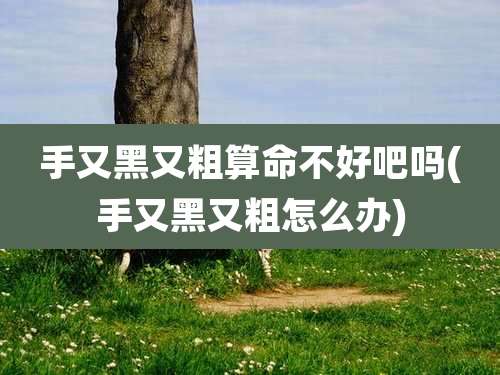 手又黑又粗算命不好吧吗(手又黑又粗怎么办)
