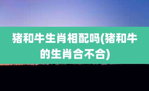 猪和牛生肖相配吗(猪和牛的生肖合不合)
