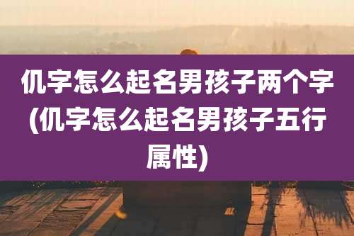 仉字怎么起名男孩子两个字(仉字怎么起名男孩子五行属性)